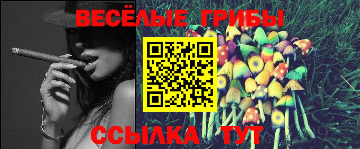 Зеленокумск  Псилоцибиновые грибы MAGIC MUSHROOMS  Вход с VPN 